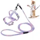 Set di imbracatura e guinzaglio per gatti Imbracatura per animali domestici regolabile a prova di fuga per gattini Collare per gatti da passeggio all'aperto Guinzaglio in piombo Forniture per animali