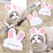 Pet Hat Cat Headgear Lion Rabbit Ears Dog Hat Dress up Pet Headwear Small Dog Pet Supplies