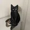 JIOMAY noir chat imprimé dame poitrine sac Style coréen en cuir PU sac à bandoulière avec large sangle mode sac à bandoulière pour les femmes