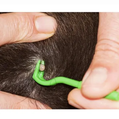 3pcs Dog Tick Clip Pet Flea Removal Tool Lice Remover Hook Pet Grooming Supplies Kitten Comb Puppy Cleaning Supplies Tools