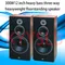 Altoparlante da scaffale da 300 W da 12 pollici Altoparlante passivo HiFi Febbre Sistema Home Theatre Amplificatore audio in legno Altoparlanti da soggiorno