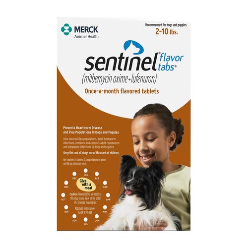 Sentinel pour chiens de 2 à 10 livres (marron) 12 Mâchouilles