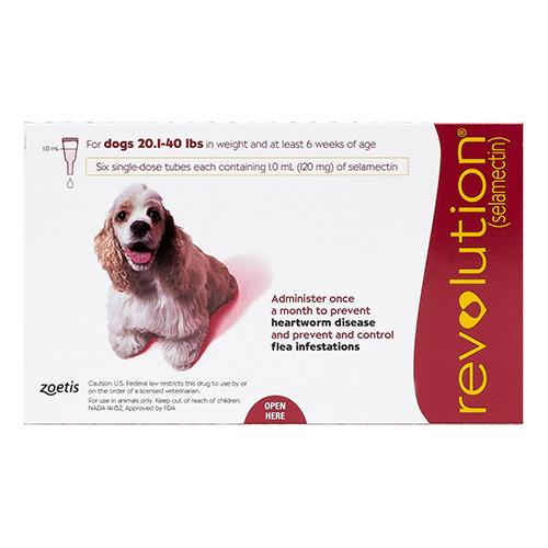 Revolution Medium Hunde 20.1-40lbs (Rot) 6 Dosen