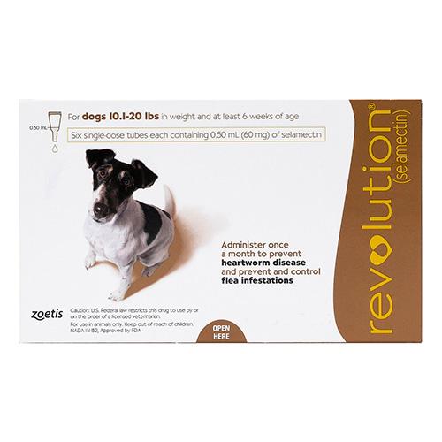 Revolution Small Dogs 10.1 - 20lbs (Braun) 12 Dosen