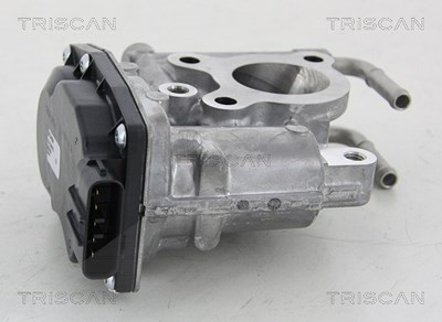 Triscan AGR-Ventil [Hersteller-Nr. 881313021] für Toyota Image