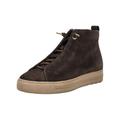 Sneaker PAUL GREEN "Paul Green Sneaker Leder", Damen, Gr. 39, braun, Leder, casual, Schuhe