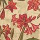 Home Fashion®, Natural Amaryllis, Lunch-Servietten aufgefaltetes Maß 33 cm x 33 cm, im Viertelfalz, 20 Stück pro Pack