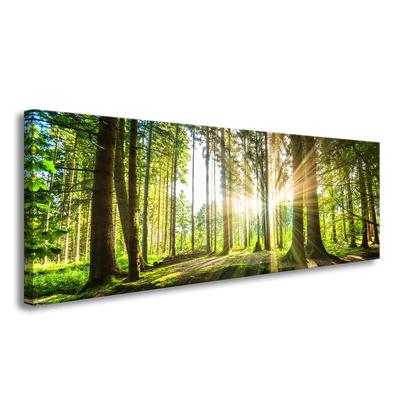 TEMU Framed 120 X 40 Cm Forest Picture – Modern Art Print On Canvas | Wall Art For Living Room & Lounge | Elegant Canvas Picture – Item No. 5730 Image