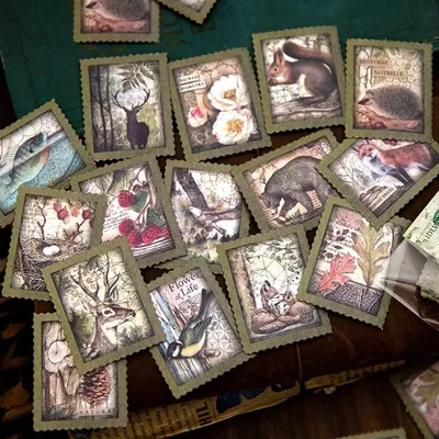 Card image cap