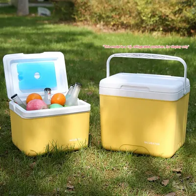 6L Camping Cooler Box Multipurpose Insulated Ice Chest for Camping Picnic Beach Drink Beverage Fishing