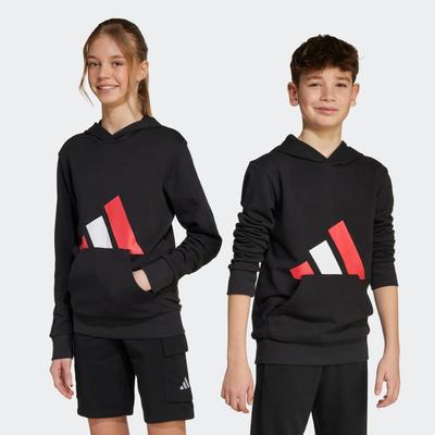 Kapuzensweatshirt ADIDAS SPORTSWEAR "J BL FT HD 280", Kinder, Gr. 164, schwarz, pure ruby, weiß, Obermaterial: 55% Baumwolle, 36% Polyester, 9% Viskose, sportlich, Sweatshirts Image