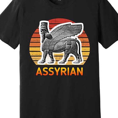 TEMU Assyrian Lion Flag Gift Quality T-shirt For Men School Boys Teenagers T-shirt, Featuring Humorous Lines And Printed Letters, Cotton T-shirt Image