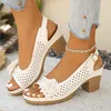 Neue Stil Mode Grenzüberschreitende Außenhandel Große Größe Hausschuhe für Frauen Frühling und Herbst Hohl Keil Casual frauen Schuhe