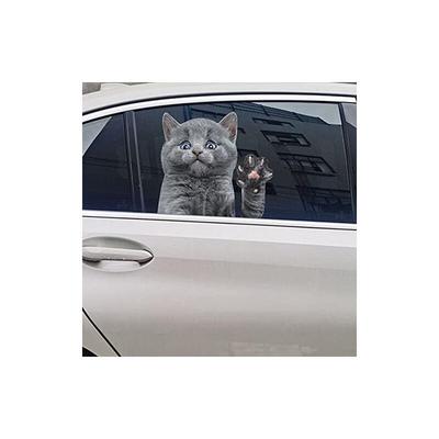 28 × 30 × 0,1 cm) Katzen-Autofensteraufkleber, lustige Autofensteraufkleber, Fenster- und Image
