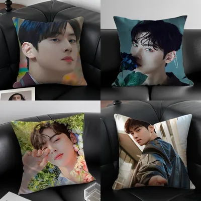 Neuer Cha Eun Woo Kissenbezug, Anti-Dustmite-Kissenbezug, unsichtbarer Reißverschluss, seidiger, kurzer Plüsch, Sofakissenbezug Image