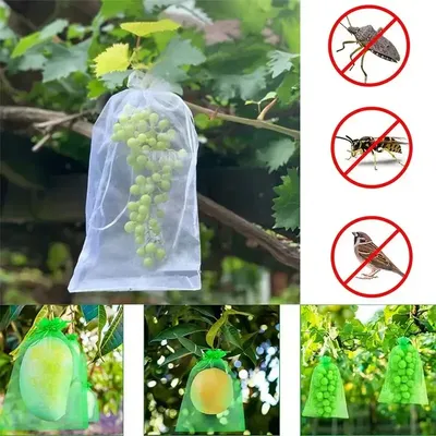 50 stücke Obst Schutz Taschen Anti-Vogel Garten Netting Taschen Erdbeere Trauben Mesh Tasche Plante Gemüse Netting Abdeckung Garten werkzeug