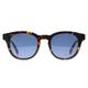 Lacoste Round Mens Dark Havana Blue L6006S - Brown - One Size | Lacoste Sale | Discount Designer Brands