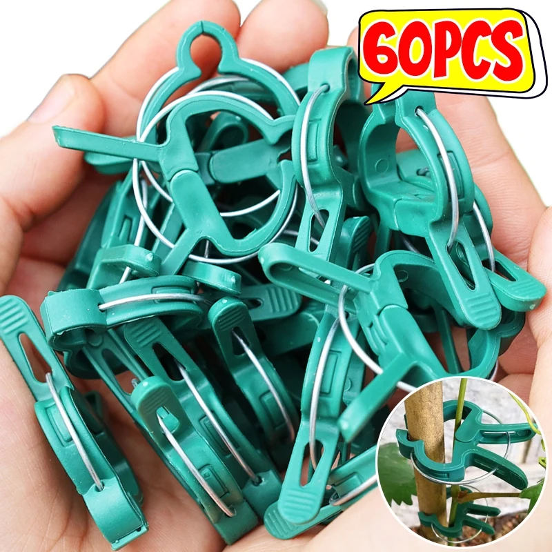 Pflanzenstützklammern für Kletterpflanzen, Gemüse, Tomaten, Stützspalier, Pflanzenstielklammer, Organisation von Zweig, Rankenhalterung, Werkzeuge Image