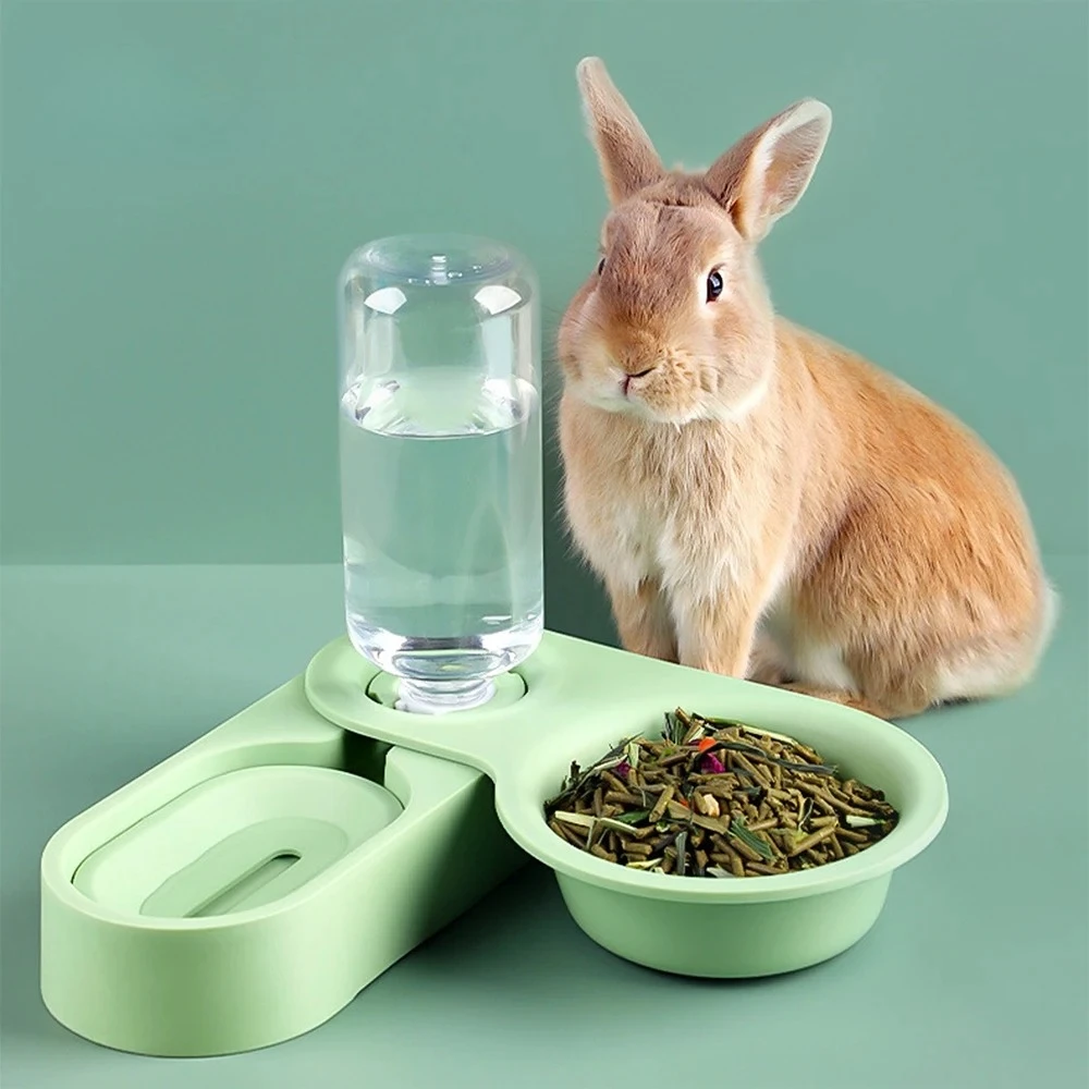 G animal de compagnie lapin Chinchilla cochon d'inde bol de nourriture mangeoire automatique tout-en-un épissure bol de nourriture fontaine à boire bol de plat surélevé