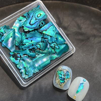TEMU Thin Shell Pieces, Irregular Holographic Natural Abalone Slices - Popular Nail Art Decor For Women, Artistic , Nail Art Decorations|holographic Finish|natural Abalone Slices, Nail Art Supplies Image