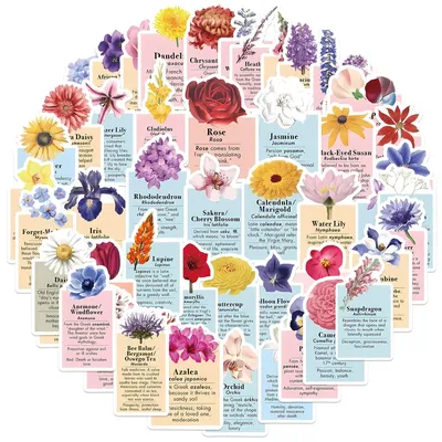 50PCS INS Stil Floral Sprache Wasserdichte Graffiti Aufkleber für Helm Fahrrad Federmäppchen Aufkleber LanLanStickersWorld Image