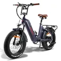 Fafrees F20 Master Bicicletta elettrica per adulti 500W 48V22.5Ah 20 pollici MTB Mountain Ebike Bici elettrica grassa in fibra di carbonio per esterni