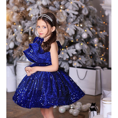 Kinder Mädchen Partykleid Einfarbig Langarm Leistung Netz Prinzessin Süß Netzstoff Knöchellang Etui-Kleid Tüllkleid Sommer Frühling Herbst Kinder Wein Blau Purpur Image