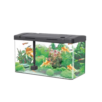 Aquarium Fish Tank Starter Kit, Fish Tank, Mini Desktop Rectangular Fish Tank With Filter And Oxygen Supply Tabletop Decoration