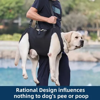 Dog Walking Assistance Adjustable Pet Support Harness for Rehabilitation with Breathable Straps Padded for Dogs for Mobility