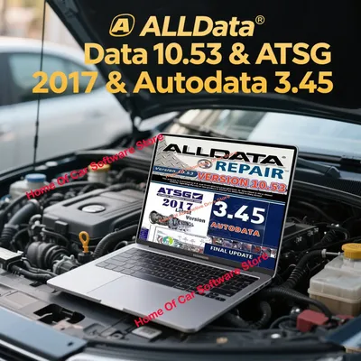 2025 HOT Sale Alldata Repair Software 10.53 All Data Automotive Tech Latest Offline Software ATSG 2017 & Autodata 3.45 Send Link