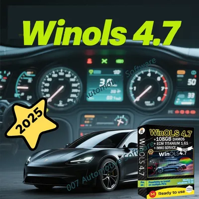 2025 4-in-1 Winols 4.7 Full Activation 108GB Damos Support Windows 7/10/11 Multi-language ECM Titanium 1.61 IMMO Service Tool