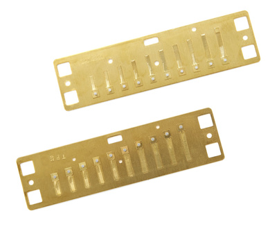 Lee Oskar Harmonic Minor Reedplates F#