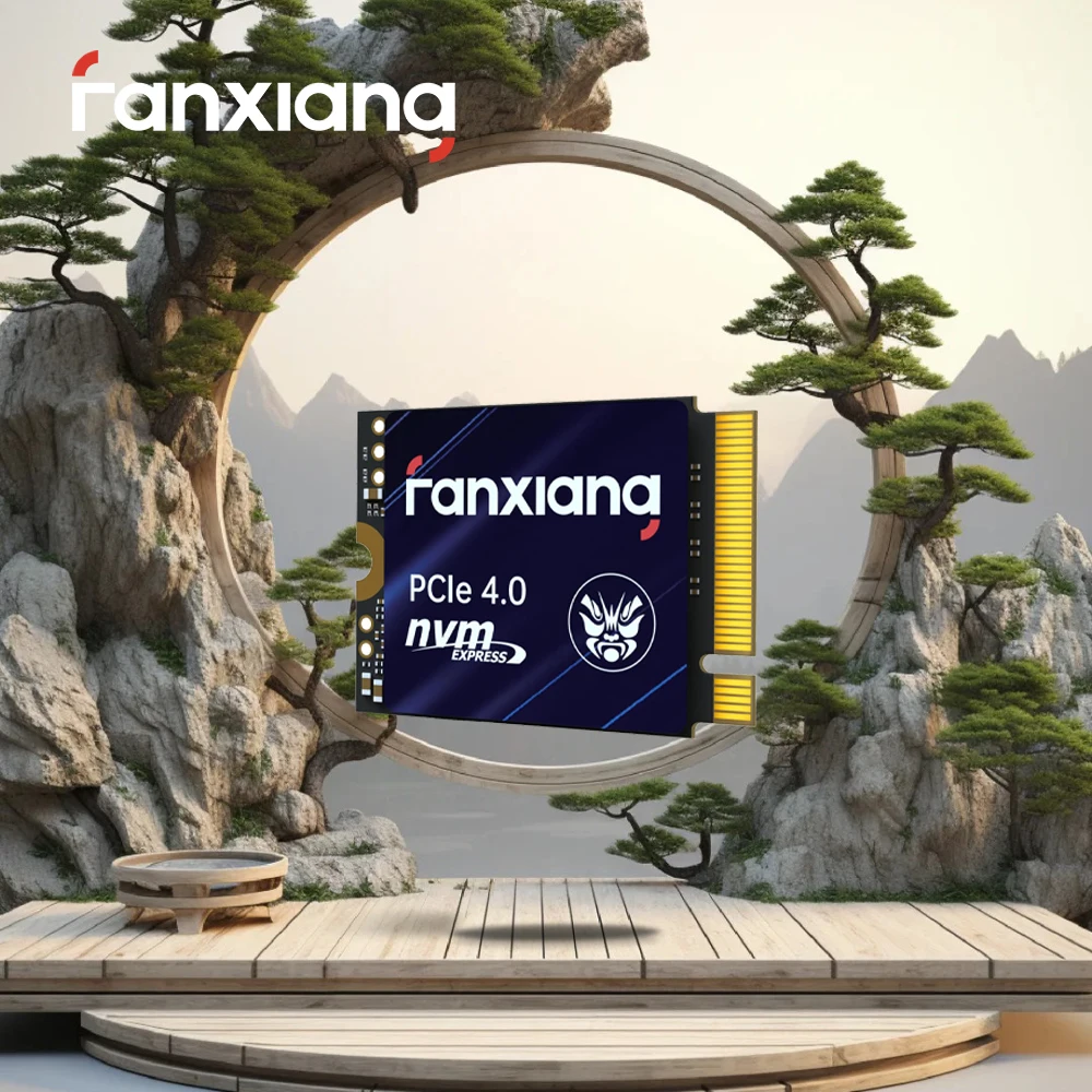 Fanxiang M.2 SSD-Festplatte 500 GB 1 TB 5000 MB/s NVMe M.2 2230 SSD PCIE4.0 Internes Solid-State-Laufwerk EU US Lokale Lieferung S700 Image