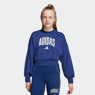 Sweatshirt ADIDAS SPORTSWEAR "JG CLGT FT SWT", Kinder, Gr. 128, blau (dunkelblau, weiß), Obermaterial: 70% Baumwolle, 30% Polyester, sportlich, Rundhals, Sweatshirts Image