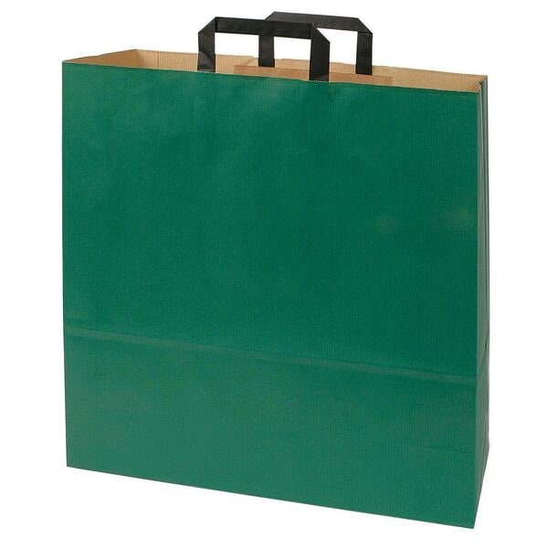 VP 50 Stück Papier-Tragetaschen »Topcraft« 40,0 x 16,0 x 45,0 cm grün, 40x45 cm Image
