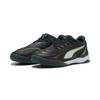 Fußballschuh PUMA "IBERO Futsalschuhe Erwachsene", Gr. 39, schwarz grün terrain fizzy light gelb, Obermaterial: Synthetik, Textil; Futter: Textil; Innensohle: Textil; Laufsohle: Gummi, Schuhe
