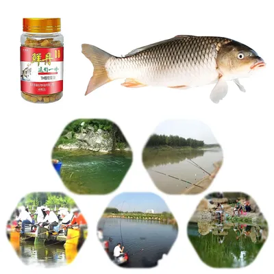 High Protein Fishy Taste Hemoglobin Bait Freshwater Crucian Carp Grass Fish Bream Bait Carp Fishing Bait
