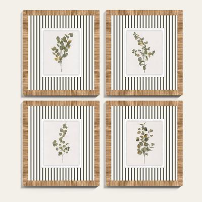 Lovely Eucalyptus Art - Print II, 35
