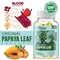 Papaya Leaf Extract Capsules - Improve The Digestive System, Promote Intestinal Health, and Maintain Platelet Health