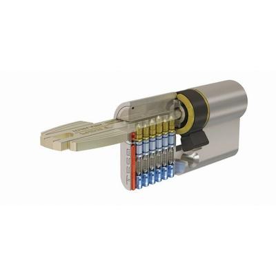 Sicherheitszylinder tesa T60 auskuppelbar - vernickelt - 40 x 50 - Verschiedenes - 5 Schlüssel Image