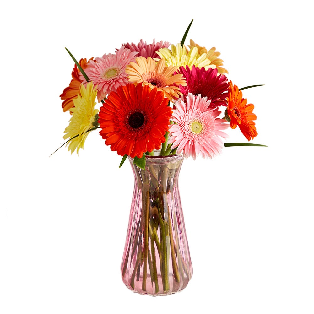 1-800-Flowers Flower Delivery Happy Gerbera Daisies Bouquet