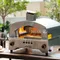 Forno per pizza a gas di grandi dimensioni Forno per pizza classico italiano Forno in acciaio inossidabile Hornos Para Panaderia Mini forno Accessori da cucina