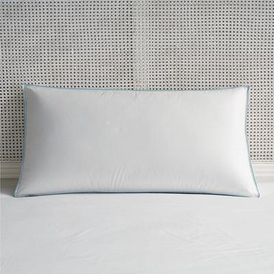 Set of 2 Down Alternative Side Sleeper Pillow - Standard - Frontgate Resort Collection™
