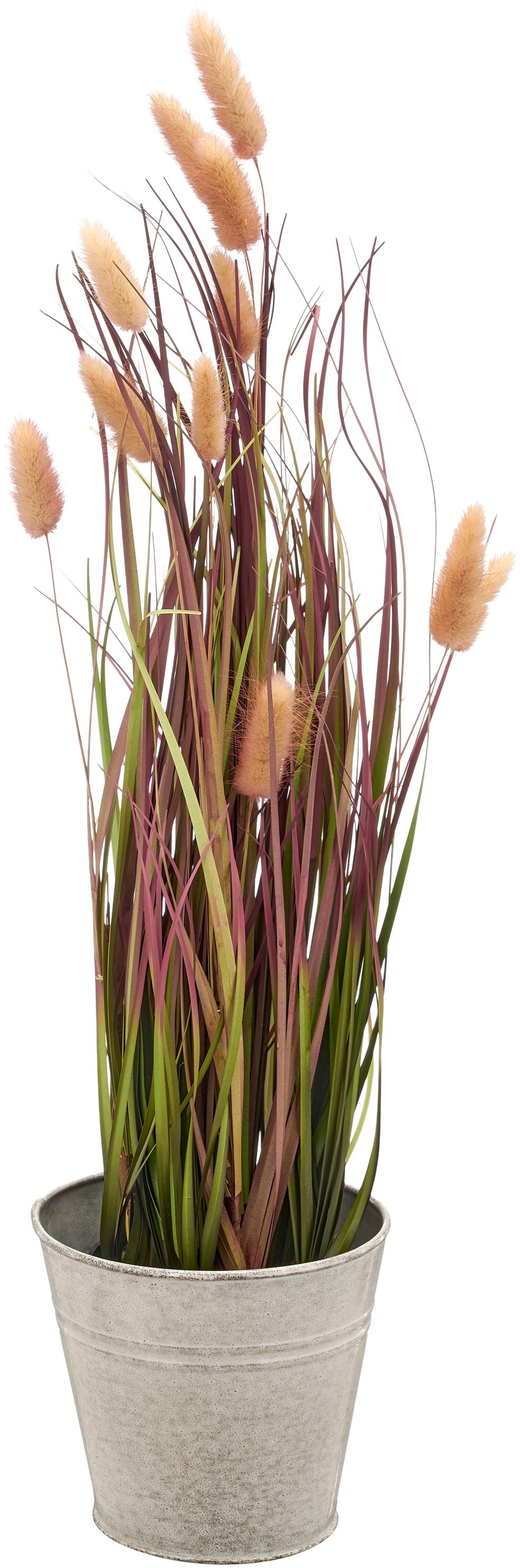 Kunstgras CREATIV GREEN "Grasbusch Lagurus", grün (grün, rosa), H:60cm Ø:14cm, Kunststoff, Kunstpflanzen, mit zarten Blüten