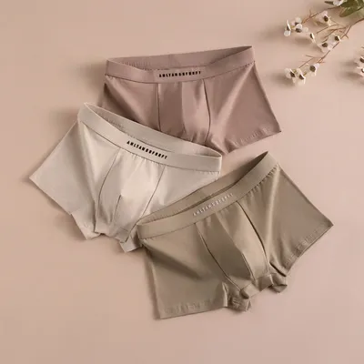 Atmungsaktive Männer Dessous Geschenk Boxer Shorts Boxer Mann Baumwolle Sexy Männer Unterwäsche Sportliche Boxer männer Quadratische Höschen Unterhose Image
