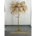 Argent or Net célébrité nordique résine plume lampadaire lumière de luxe salon décor à la maison chevet canapé lumière verticale E27