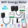 Tuya WiFi Smart Energy Meter AC100-240V 1CH 2CH Stromwandler Clamp APP Steuerung 80A Power Monitor Strom Statistiken