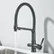 Robinet de cuisine eau filtrée double bec fonction de Purification robinet de cuisine grue d'eau rotative à 360 degrés pour la cuisine
