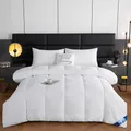 Couette de style hôtel Queen KingLightweight moelleux, confortable et respirante, douce couette d'hiver très chaude, couverture de couette 220x240