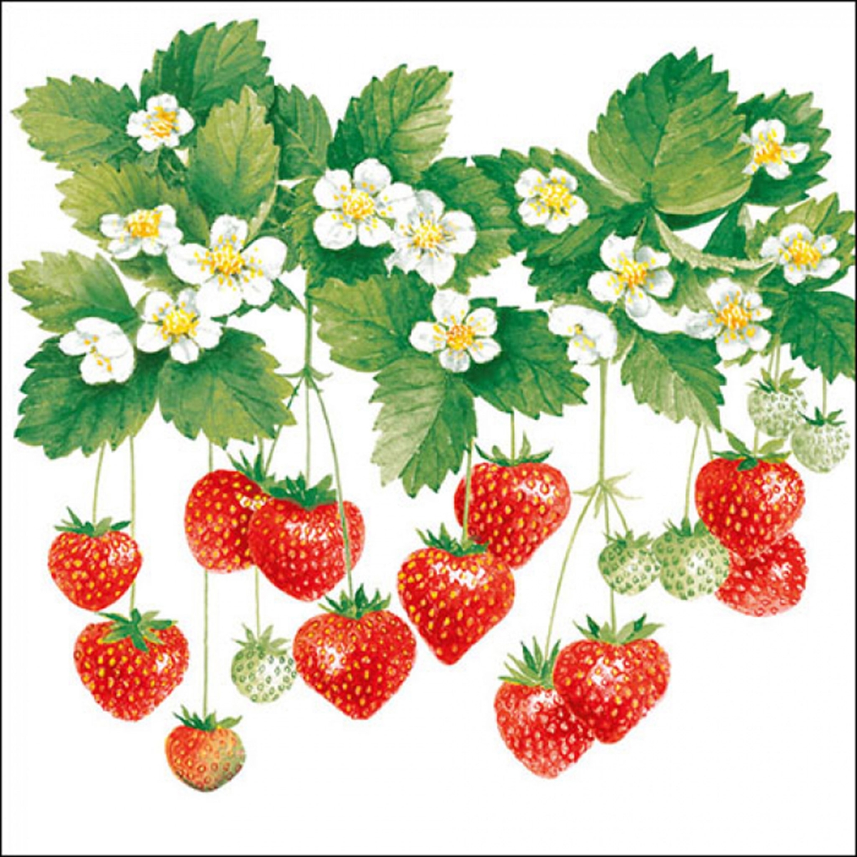 Ambiente 20 Servietten Papier 33x33cm 3-lagig - hochwertige Einweg Papierservietten Erdbeeren & Blüten Motiv Partyservietten Tischdeko Sommerdeko Gartenfest Image